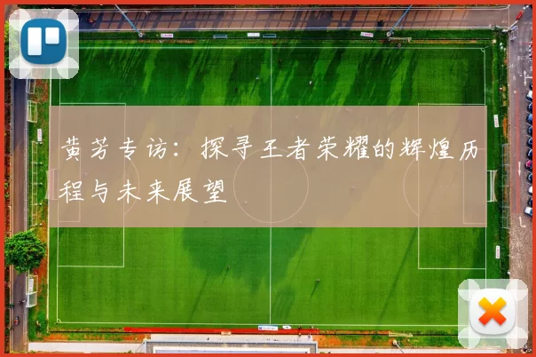 黄芳专访：探寻王者荣耀的辉煌历程与未来展望