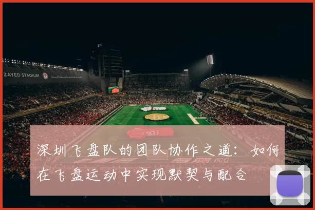 深圳飞盘队的团队协作之道：如何在飞盘运动中实现默契与配合