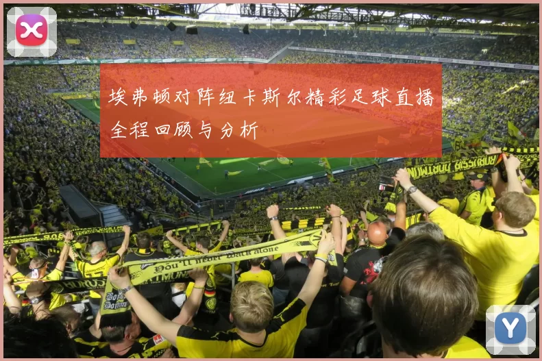 埃弗顿对阵纽卡斯尔精彩足球直播全程回顾与分析