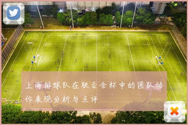 上海排球队在联合会杯中的团队协作表现分析与点评