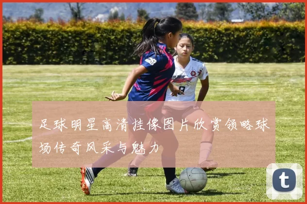 足球明星高清挂像图片欣赏领略球场传奇风采与魅力