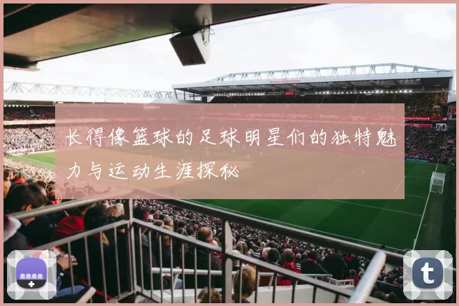 长得像篮球的足球明星们的独特魅力与运动生涯探秘