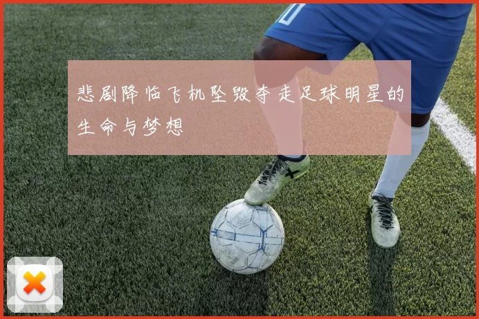 悲剧降临飞机坠毁夺走足球明星的生命与梦想