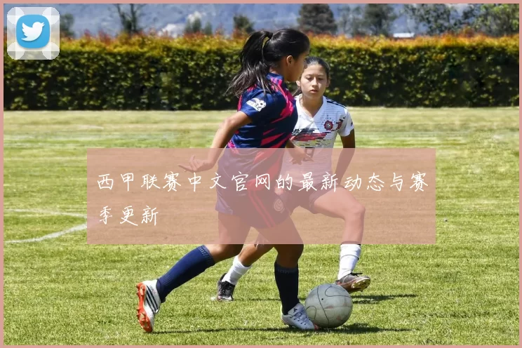 西甲联赛中文官网的最新动态与赛季更新