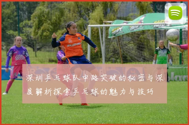 深圳乒乓球队中路突破的秘密与深度解析探索乒乓球的魅力与技巧
