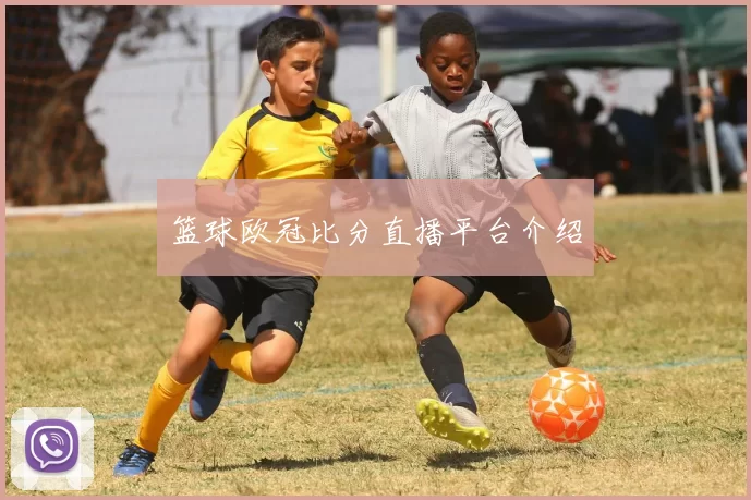 篮球欧冠比分直播平台介绍