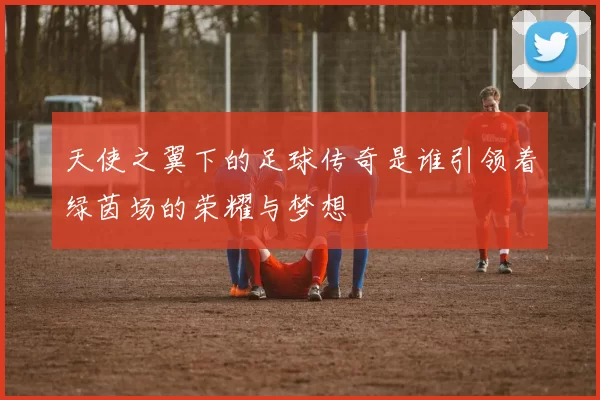 天使之翼下的足球传奇是谁引领着绿茵场的荣耀与梦想