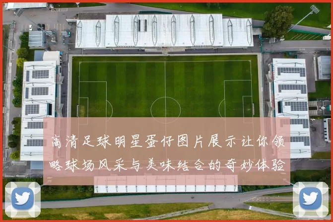 高清足球明星蛋仔图片展示让你领略球场风采与美味结合的奇妙体验