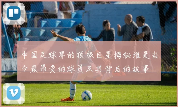 中国足球界的顶级巨星揭秘谁是当今最昂贵的球员及其背后的故事
