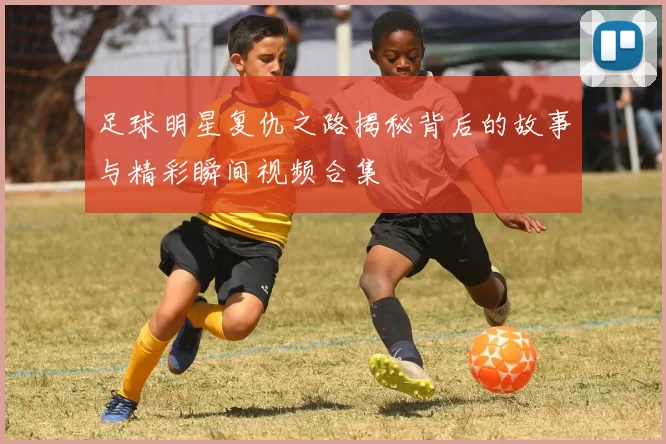 足球明星复仇之路揭秘背后的故事与精彩瞬间视频合集
