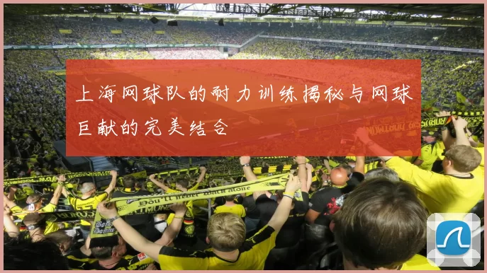 上海网球队的耐力训练揭秘与网球巨献的完美结合