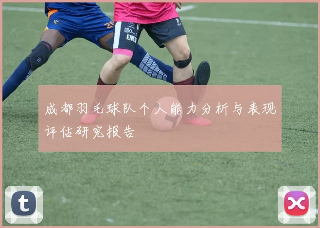 成都羽毛球队个人能力分析与表现评估研究报告
