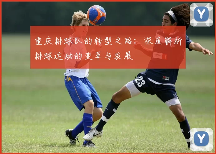 重庆排球队的转型之路：深度解析排球运动的变革与发展