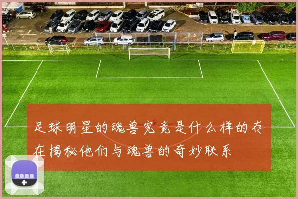 足球明星的魂兽究竟是什么样的存在揭秘他们与魂兽的奇妙联系