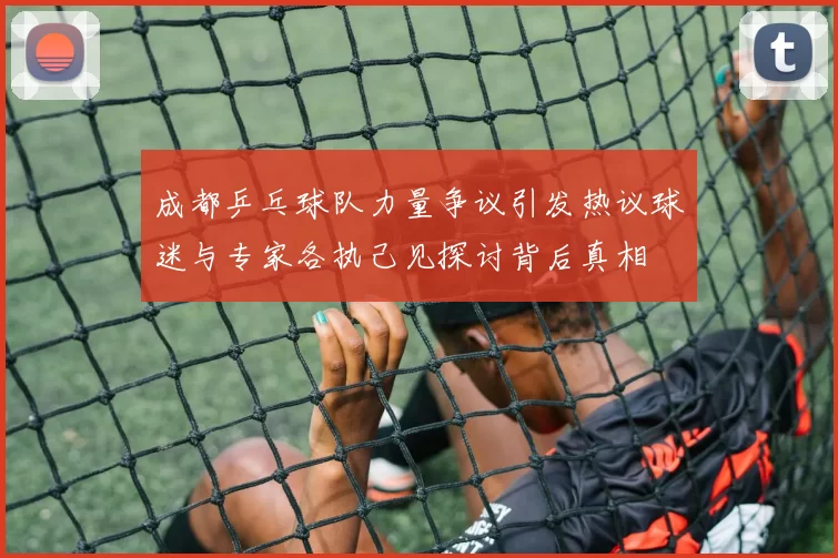 成都乒乓球队力量争议引发热议球迷与专家各执己见探讨背后真相