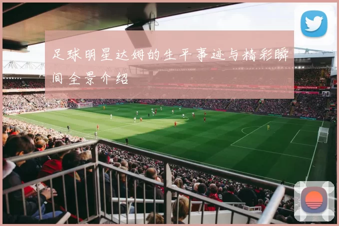 足球明星达姆的生平事迹与精彩瞬间全景介绍