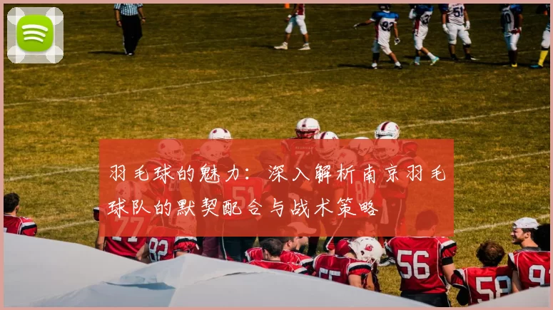 羽毛球的魅力：深入解析南京羽毛球队的默契配合与战术策略