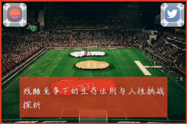 残酷竞争下的生存法则与人性挑战探析