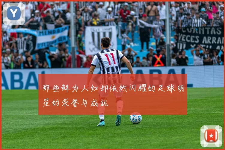 那些鲜为人知却依然闪耀的足球明星的荣誉与成就