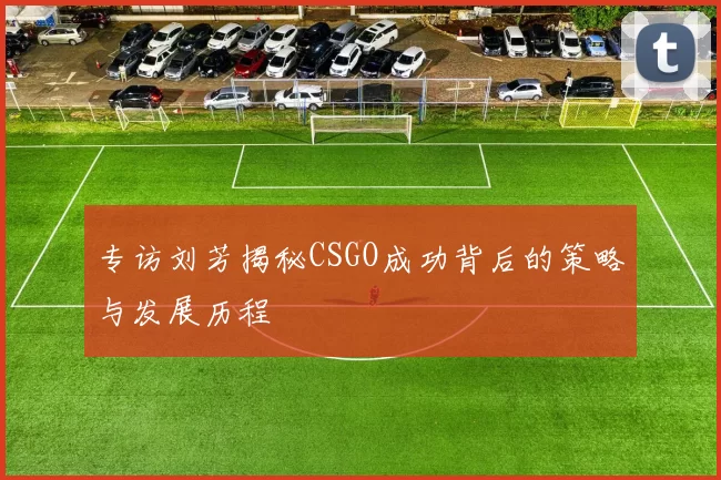 专访刘芳揭秘CSGO成功背后的策略与发展历程