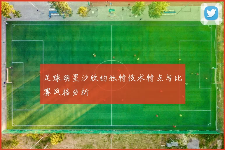 足球明星沙欣的独特技术特点与比赛风格分析