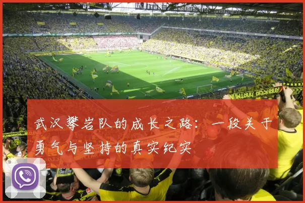 武汉攀岩队的成长之路：一段关于勇气与坚持的真实纪实