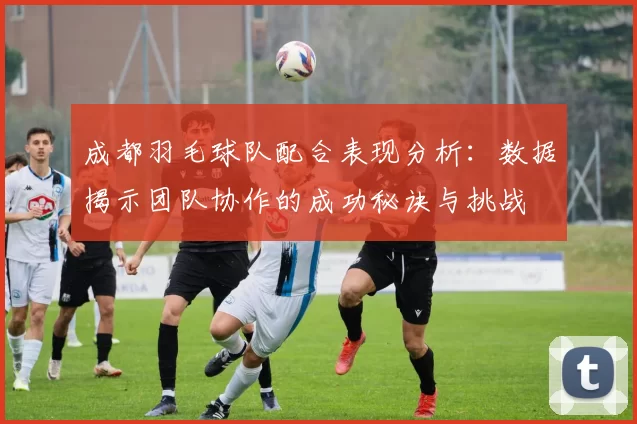 成都羽毛球队配合表现分析：数据揭示团队协作的成功秘诀与挑战