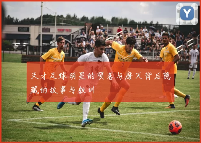天才足球明星的陨落与磨灭背后隐藏的故事与教训