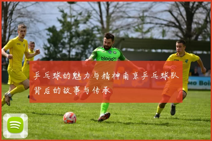 乒乓球的魅力与精神南京乒乓球队背后的故事与传承