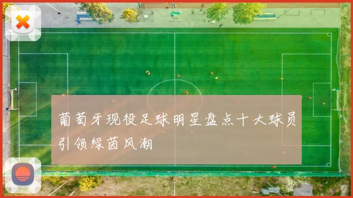 葡萄牙现役足球明星盘点十大球员引领绿茵风潮