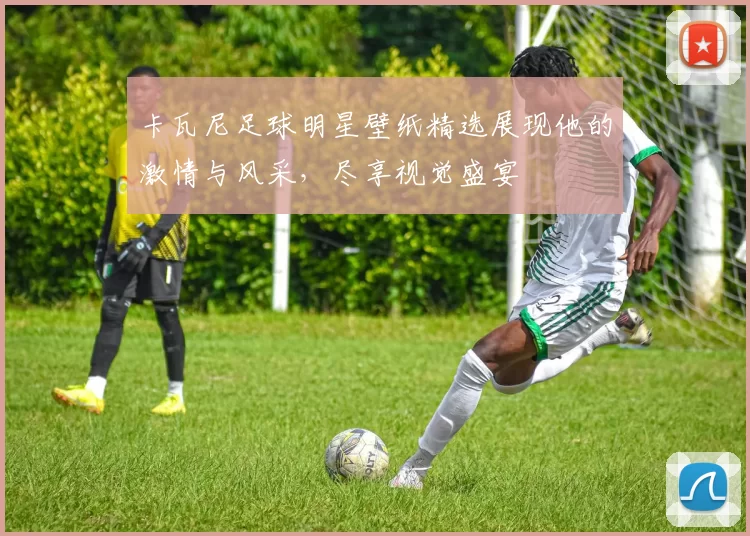 卡瓦尼足球明星壁纸精选展现他的激情与风采，尽享视觉盛宴