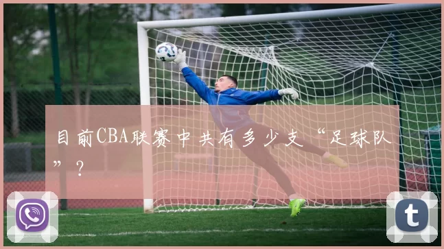目前CBA联赛中共有多少支“足球队”？