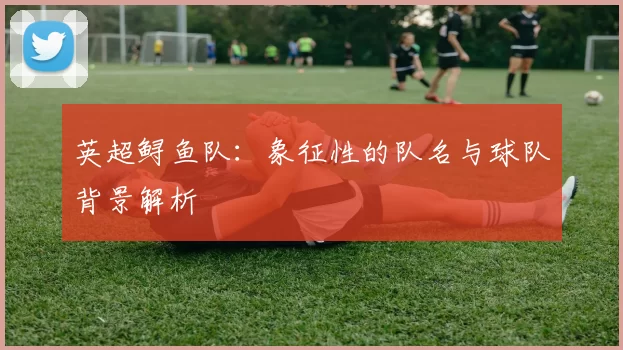 英超鲟鱼队：象征性的队名与球队背景解析