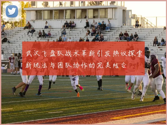 武汉飞盘队战术革新引发热议探索新玩法与团队协作的完美结合