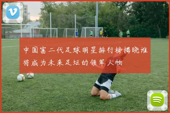 中国富二代足球明星排行榜揭晓谁将成为未来足坛的领军人物