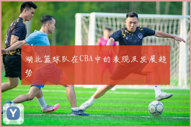 湖北篮球队在CBA中的表现及发展趋势