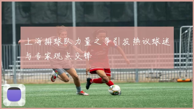 上海排球队力量之争引发热议球迷与专家观点交锋