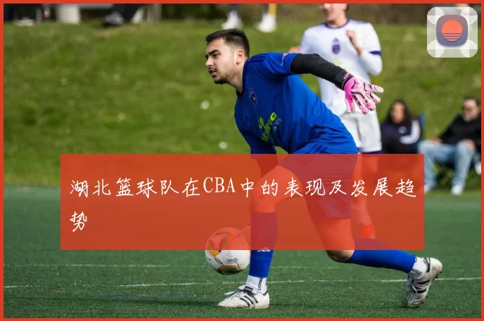 湖北篮球队在CBA中的表现及发展趋势