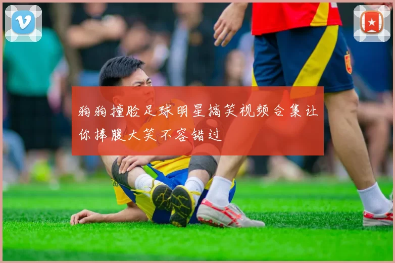 狗狗撞脸足球明星搞笑视频合集让你捧腹大笑不容错过