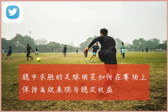 稳中求胜的足球明星如何在赛场上保持高效表现与稳定收益