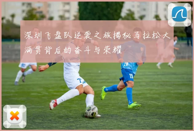 深圳飞盘队逆袭之旅揭秘马拉松大满贯背后的奋斗与荣耀