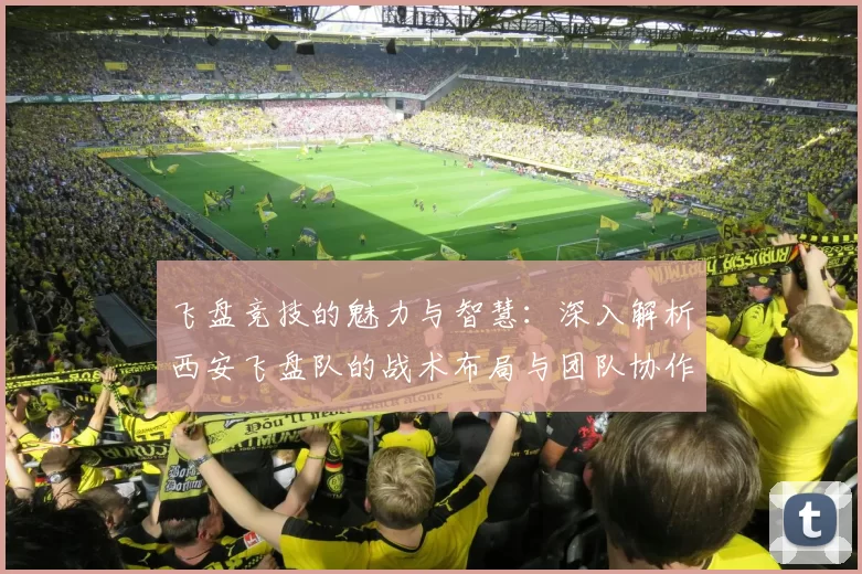 飞盘竞技的魅力与智慧：深入解析西安飞盘队的战术布局与团队协作