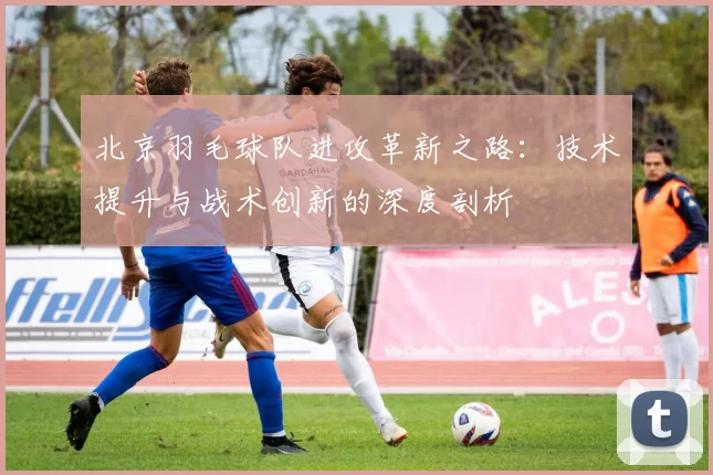北京羽毛球队进攻革新之路：技术提升与战术创新的深度剖析